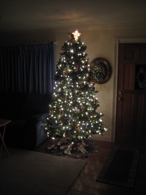 coziness of a Christmas tree