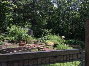 A summary of our garden.